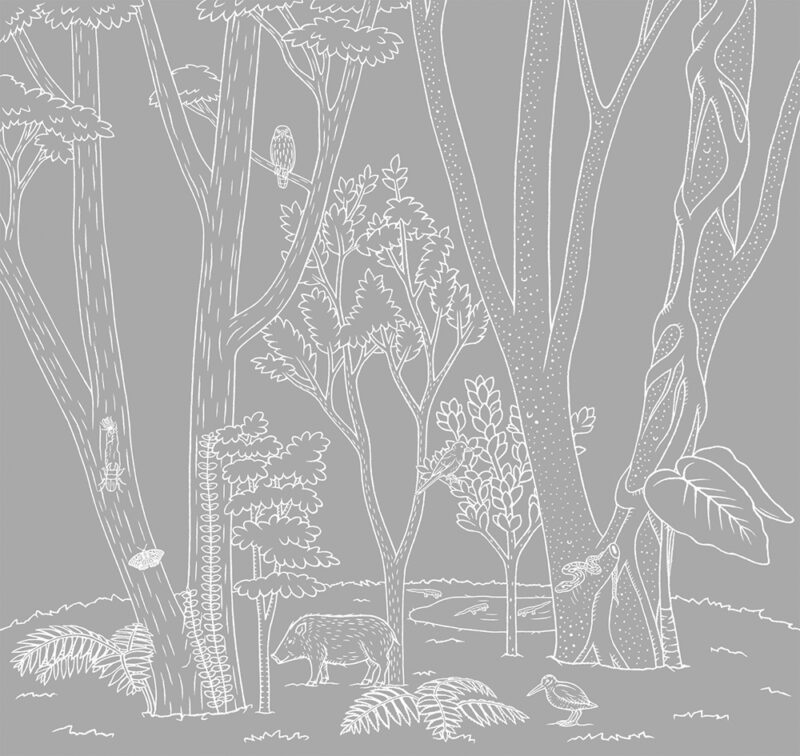 奄美大島世界遺産センター 展示室ジオラマイラスト