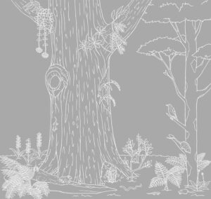 奄美大島世界遺産センター 展示室ジオラマイラスト