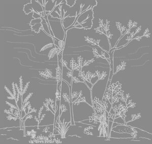 奄美大島世界遺産センター 展示室ジオラマイラスト