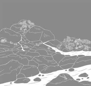 奄美大島世界遺産センター 展示室ジオラマイラスト