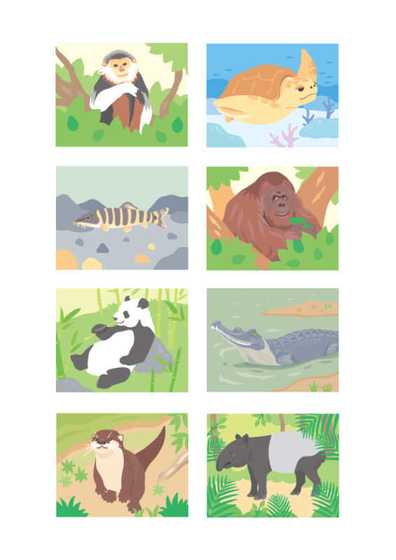 滅びゆく動物図鑑　1 棲む場所を追われる動物たちイラスト