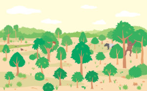 滅びゆく動物図鑑　1 棲む場所を追われる動物たちイラスト ページ抜粋