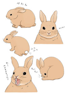 たのしい幼稚園 かわいすぎるどうぶつのひみつ♡ イラスト抜粋