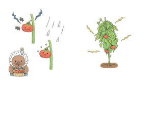ほんとうはびっくりな植物図鑑イラスト ページ抜粋