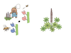 ほんとうはびっくりな植物図鑑イラスト ページ抜粋