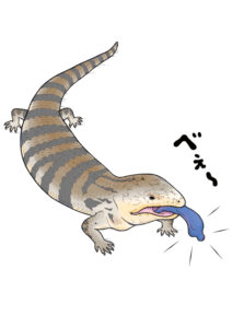 「サンシャイン水族館×高橋書店『ざんねんないきもの事典』シリーズ ざんねんないきもの展」いきものイラスト