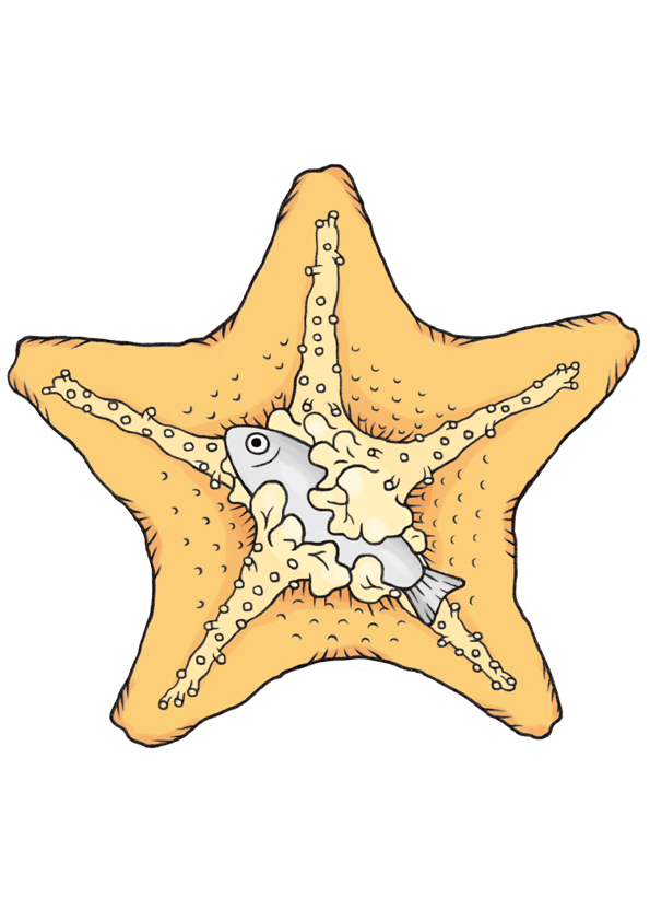 「サンシャイン水族館×高橋書店『ざんねんないきもの事典』シリーズ ざんねんないきもの展」いきものイラスト