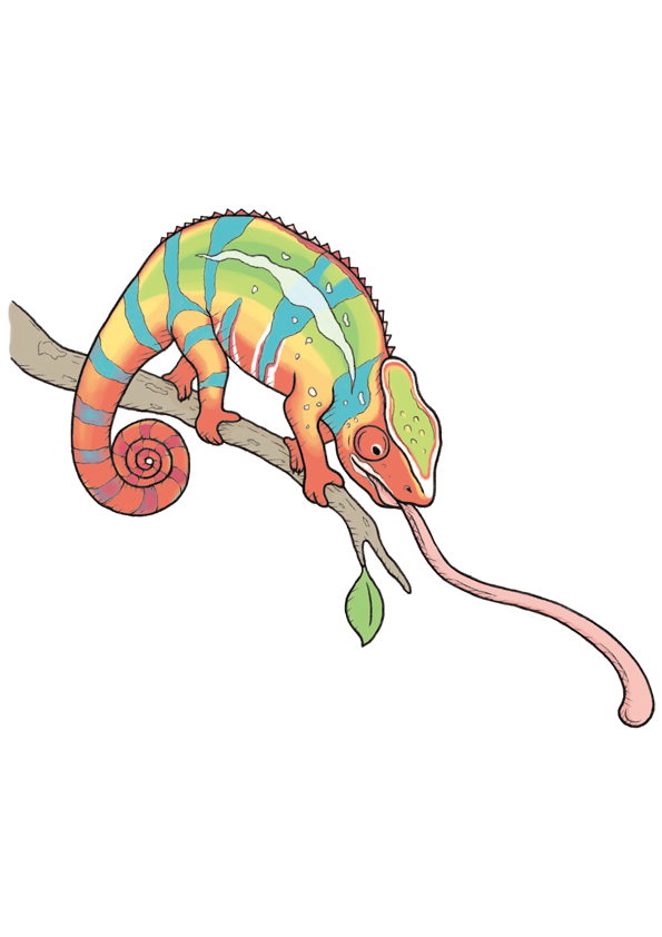 「サンシャイン水族館×高橋書店『ざんねんないきもの事典』シリーズ ざんねんないきもの展」いきものイラスト