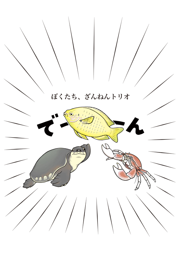 「サンシャイン水族館×高橋書店『ざんねんないきもの事典』シリーズ ざんねんないきもの展」いきものイラスト