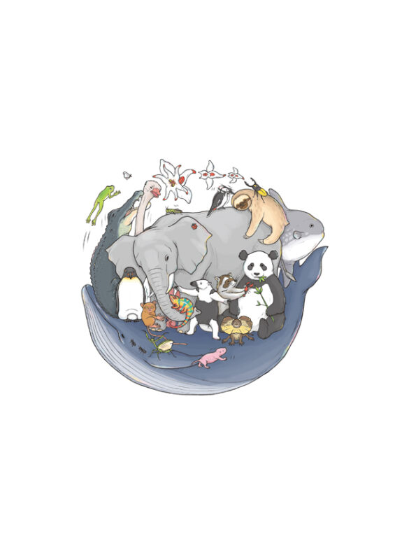 おもしろい！進化のふしぎ ざんねんないきもの事典 カバーイラスト