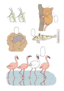 おもしろい！進化のふしぎ ざんねんないきもの事典 本文いきものイラスト ページ抜粋