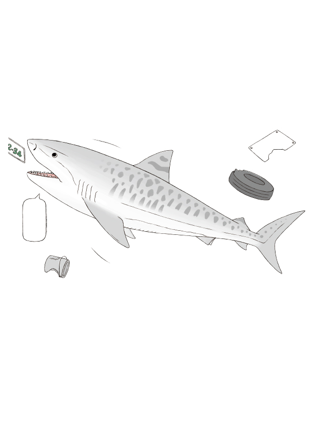 おもしろい！進化のふしぎ とことんざんねんないきもの事典 本文いきものイラスト ページ抜粋