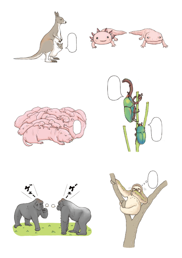 おもしろい！進化のふしぎ 続ざんねんないきもの事典 本文いきものイラスト