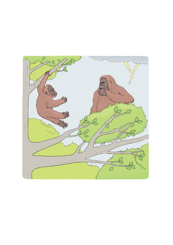 おもしろい！進化のふしぎ もっとざんねんないきもの事典 本文いきものイラスト