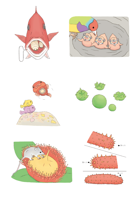 おもしろい！進化のふしぎ もっとざんねんないきもの事典 本文いきものイラスト