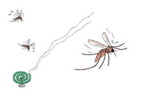 株式会社宝島社 せつない！いきものの死に方図鑑イラスト