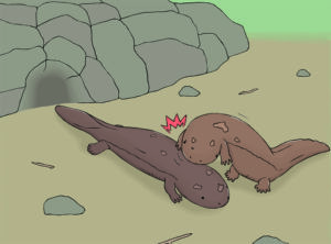 株式会社宝島社 せつない！いきものの死に方図鑑イラスト