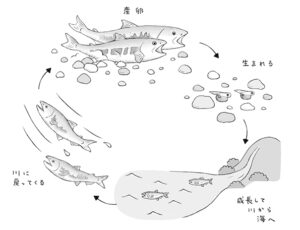 株式会社淡交社　なごみ　禅語トランスレーション イラスト抜粋