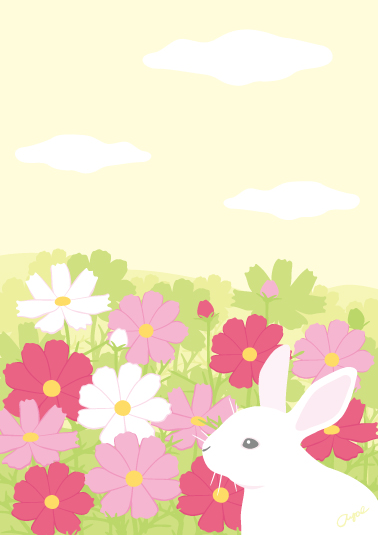 コスモスばたけ